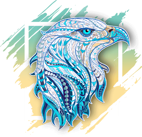 web design and development course in kottayam